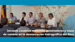 Jornada sobre Caudales máximos, generadores y tasas de cambio de la demarcación hidrográfica del Ebro